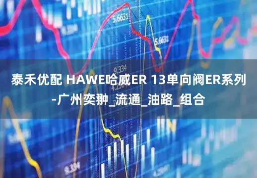 泰禾优配 HAWE哈威ER 13单向阀ER系列-广州奕翀_流通_油路_组合