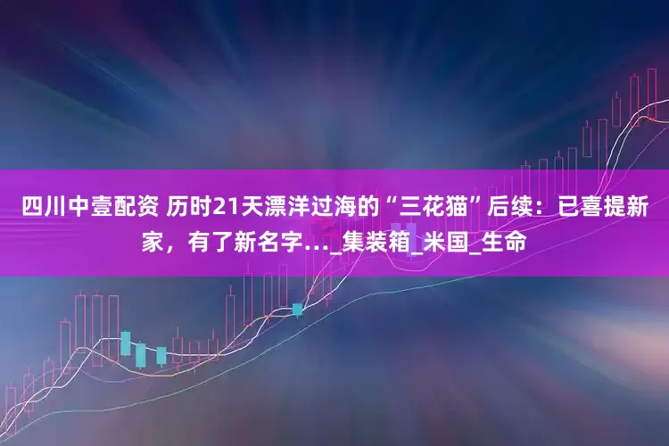 四川中壹配资 历时21天漂洋过海的“三花猫”后续：已喜提新家，有了新名字…_集装箱_米国_生命