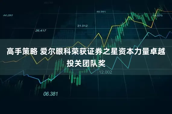 高手策略 爱尔眼科荣获证券之星资本力量卓越投关团队奖
