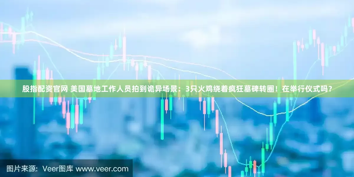 股指配资官网 美国墓地工作人员拍到诡异场景：3只火鸡绕着疯狂墓碑转圈！在举行仪式吗？