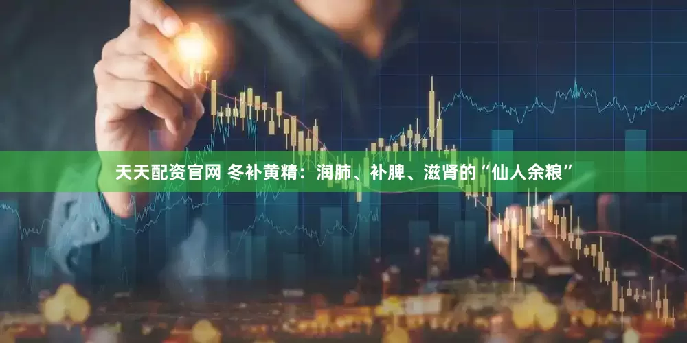 天天配资官网 冬补黄精：润肺、补脾、滋肾的“仙人余粮”